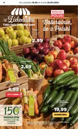 Gazetka promocyjna Netto - Artykuły spożywcze - Gazetka - ważna od 22.02 do 22.02.2023 - strona 4 - produkty: Cebula, Ogórek, Szampion