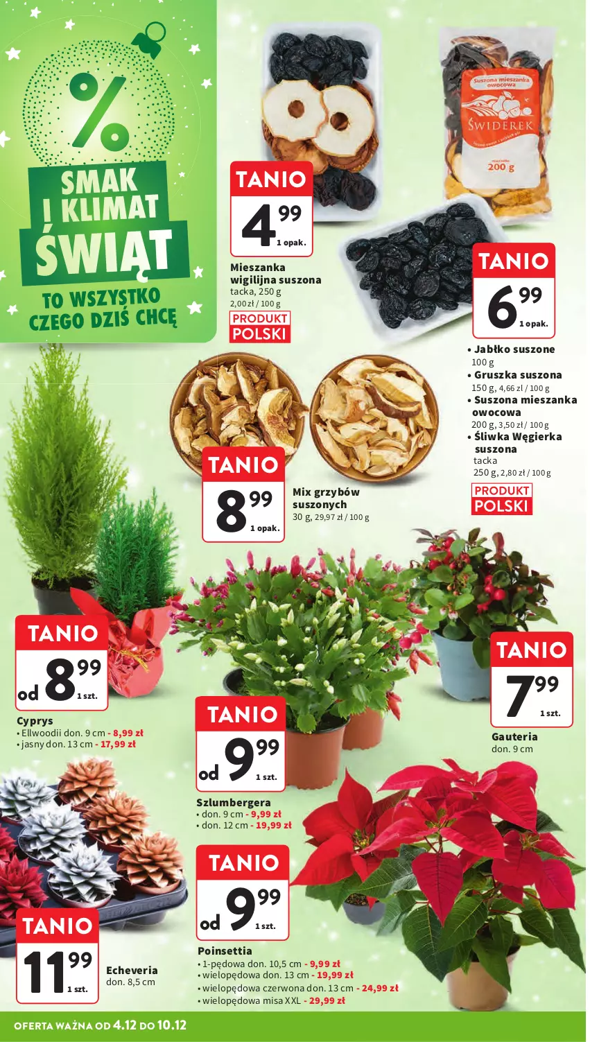Gazetka promocyjna Intermarche - Gazetka Intermarche - ważna 04.12 do 10.12.2025 - strona 24 - produkty: Szlumbergera