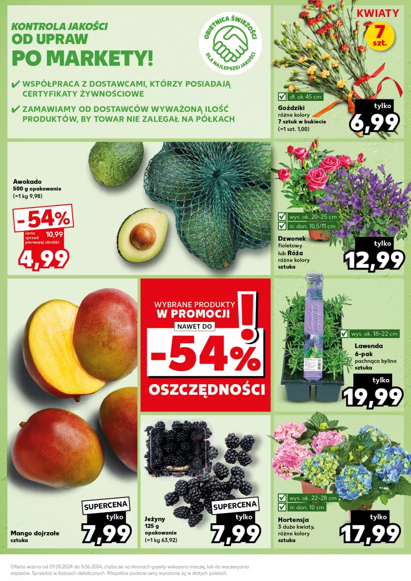 Gazetka promocyjna Kaufland - Kaufland - ważna 03.06 do 05.06.2024 - strona 11 - produkty: Jeżyny, Mango, Półka, Róża