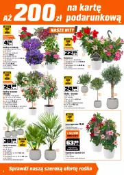 Gazetka promocyjna Obi - Gazetka OBI - Gazetka - ważna od 05.05 do 05.05.2026 - strona 2 - produkty: Sok, Inka, Dzwonek, Laur, Ogród