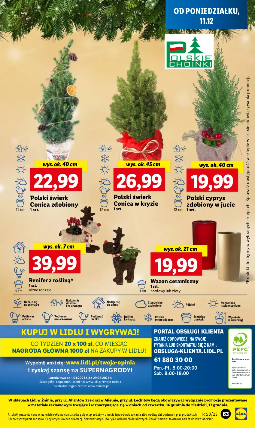 Gazetka promocyjna Lidl - GAZETKA - ważna 11.12 do 13.12.2023 - strona 69 - produkty: Cień, Gry, Mola, O nas, Por, Renifer, Sok, Wazon