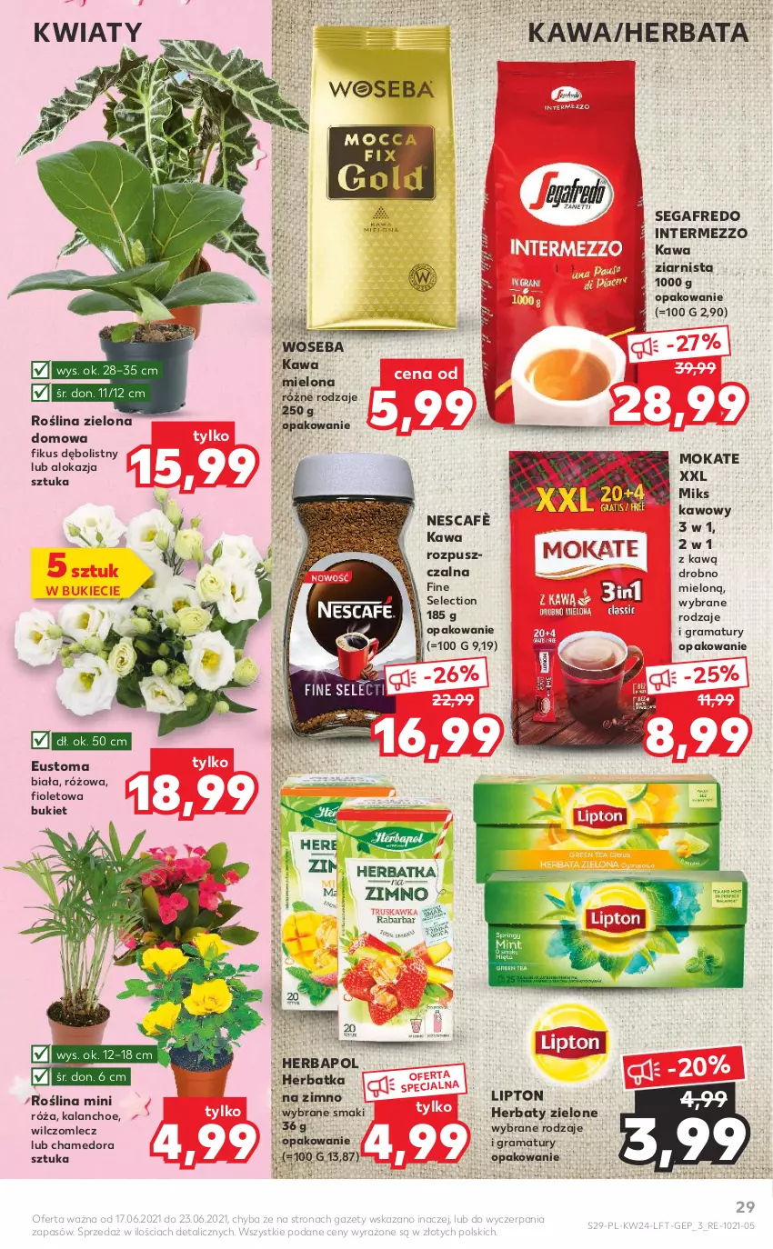 Gazetka promocyjna Kaufland - OFERTA TYGODNIA - ważna 17.06 do 23.06.2021 - strona 29 - produkty: Bukiet, Gra, Herbapol, Herbata, Kalanchoe, Kawa, Kawa mielona, Kawa rozpuszczalna, Kawa ziarnista, Lipton, Rama, Róża, Segafredo, Woseba