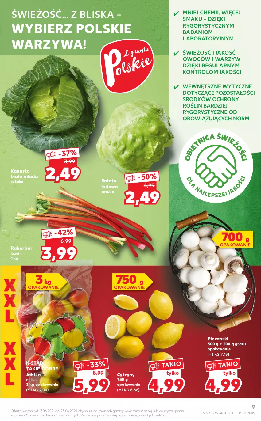 Gazetka promocyjna Kaufland - OFERTA TYGODNIA - ważna 17.06 do 23.06.2021 - strona 9 - produkty: Cytryny, Danio, Gra, Jabłka, Piec, Sałat, Sałata lodowa, Warzywa