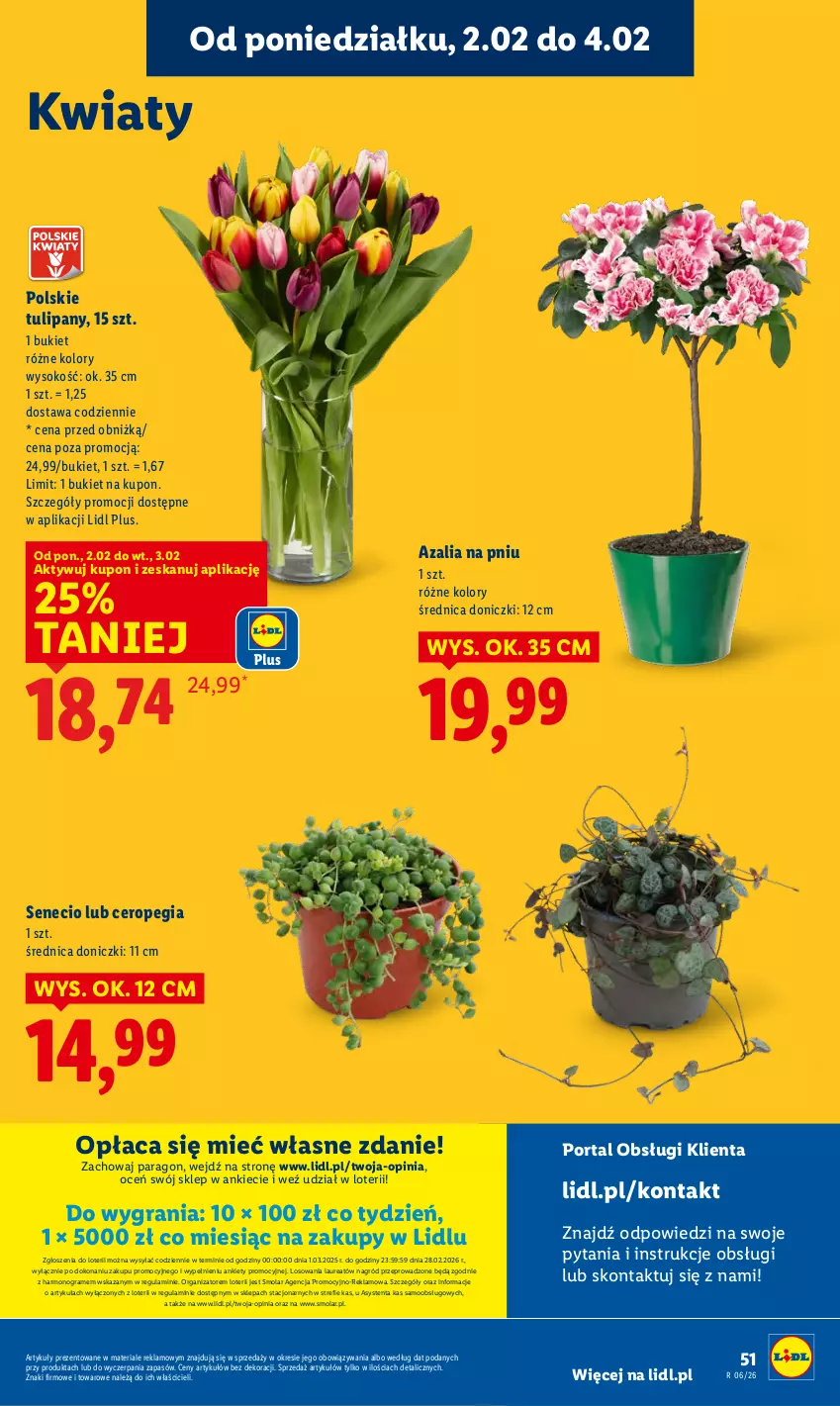 Gazetka promocyjna Lidl - GAZETKA - ważna 02.02 do 04.02.2026 - strona 51 - produkty: Bukiet, Gra, Laur, Mola, Por, Portal, Sok, Tulipan