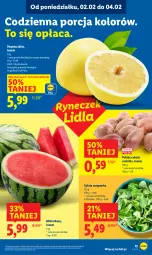 Gazetka promocyjna Lidl - GAZETKA - Gazetka - ważna od 04.02 do 04.02.2026 - strona 15 - produkty: Cebula, Por, Roszponka, Cebula szalotka, Szal, Sałat, Pomelo, Arbuz