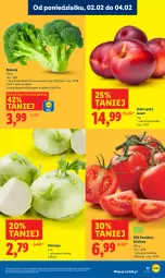 Gazetka promocyjna Lidl - GAZETKA - Gazetka - ważna od 04.02 do 04.02.2026 - strona 17 - produkty: Brokuły, Pomidory, Nektar