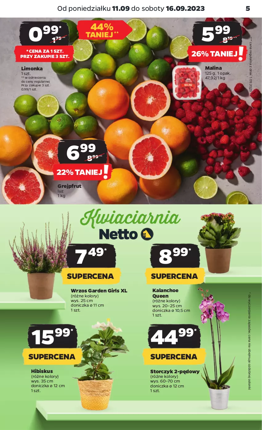 Gazetka promocyjna Netto - Artykuły spożywcze - ważna 11.09 do 16.09.2023 - strona 5 - produkty: Grejpfrut, Hibiskus, Kalanchoe, Limonka, Storczyk