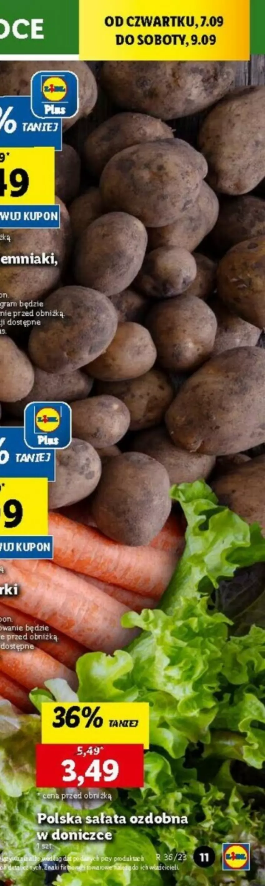 Gazetka promocyjna Lidl - ważna 07.09 do 09.09.2023 - strona 34 - produkty: Gra