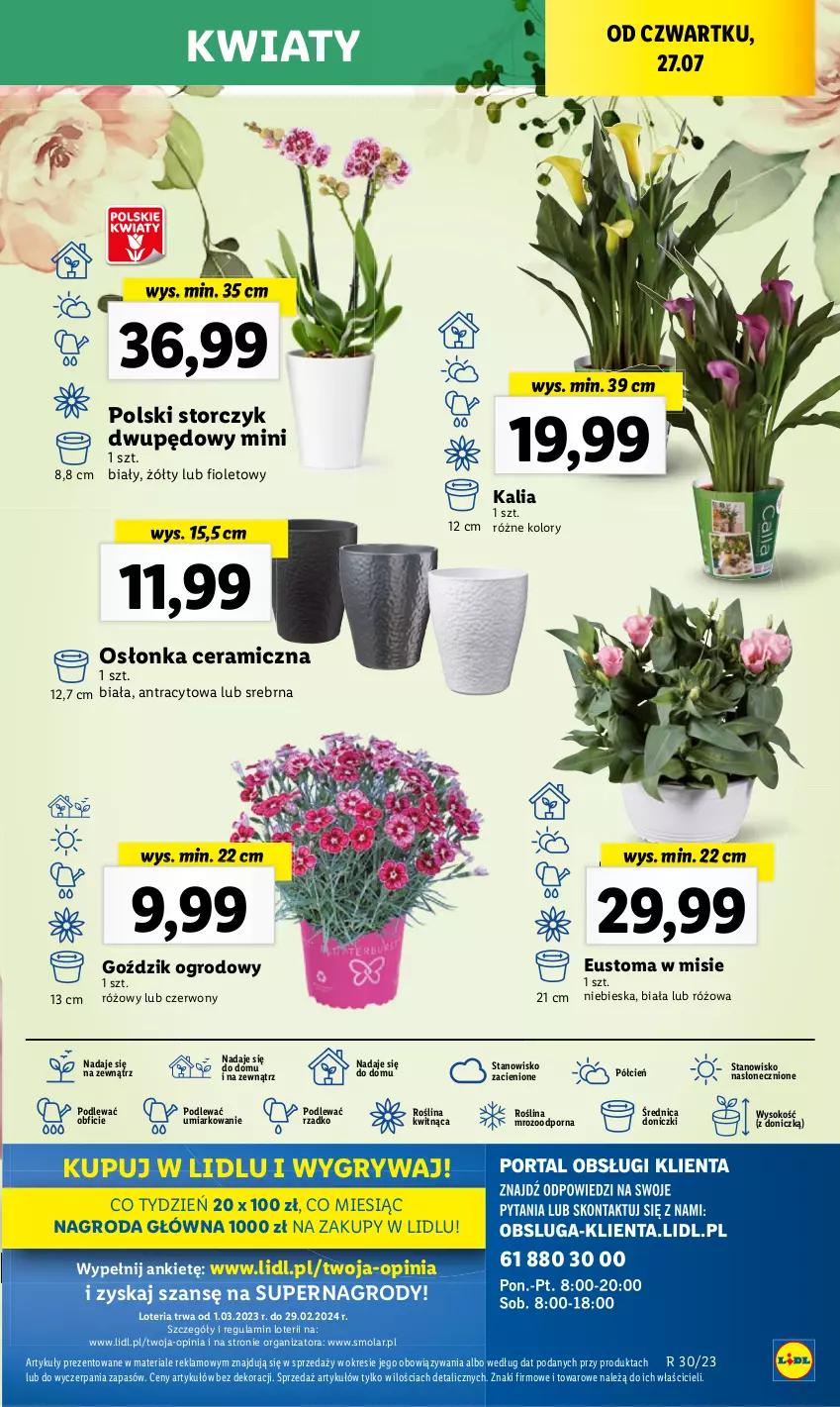 Gazetka promocyjna Lidl - GAZETKA - ważna 27.07 do 29.07.2023 - strona 71 - produkty: Gry, Mola