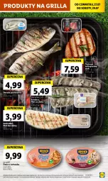 Gazetka promocyjna Lidl - GAZETKA - Gazetka - ważna od 29.07 do 29.07.2023 - strona 53 - produkty: Rio Mare, Grenadier, Grill