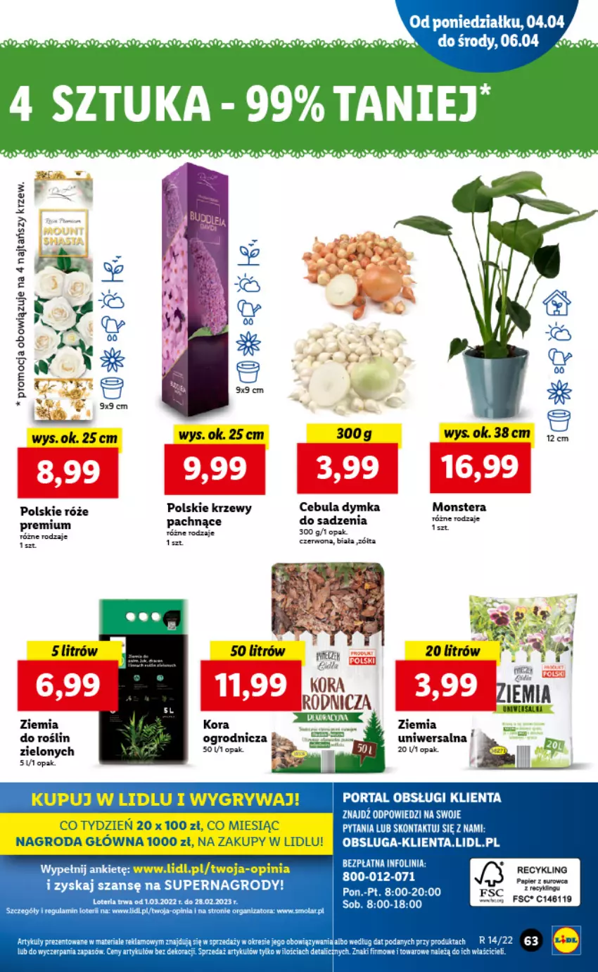 Gazetka promocyjna Lidl - GAZETKA - ważna 04.04 do 06.04.2022 - strona 63 - produkty: Cebula, Gry, Mola, Tera