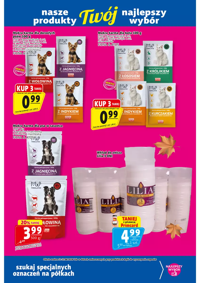 Gazetka promocyjna Prim Market - ważna 11.06 do 17.06.2026 - strona 19 - produkty: Półka, Por, Znicz