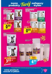 Gazetka promocyjna Prim Market - Gazetka - ważna od 17.06 do 17.06.2026 - strona 19 - produkty: Por, Półka, Znicz