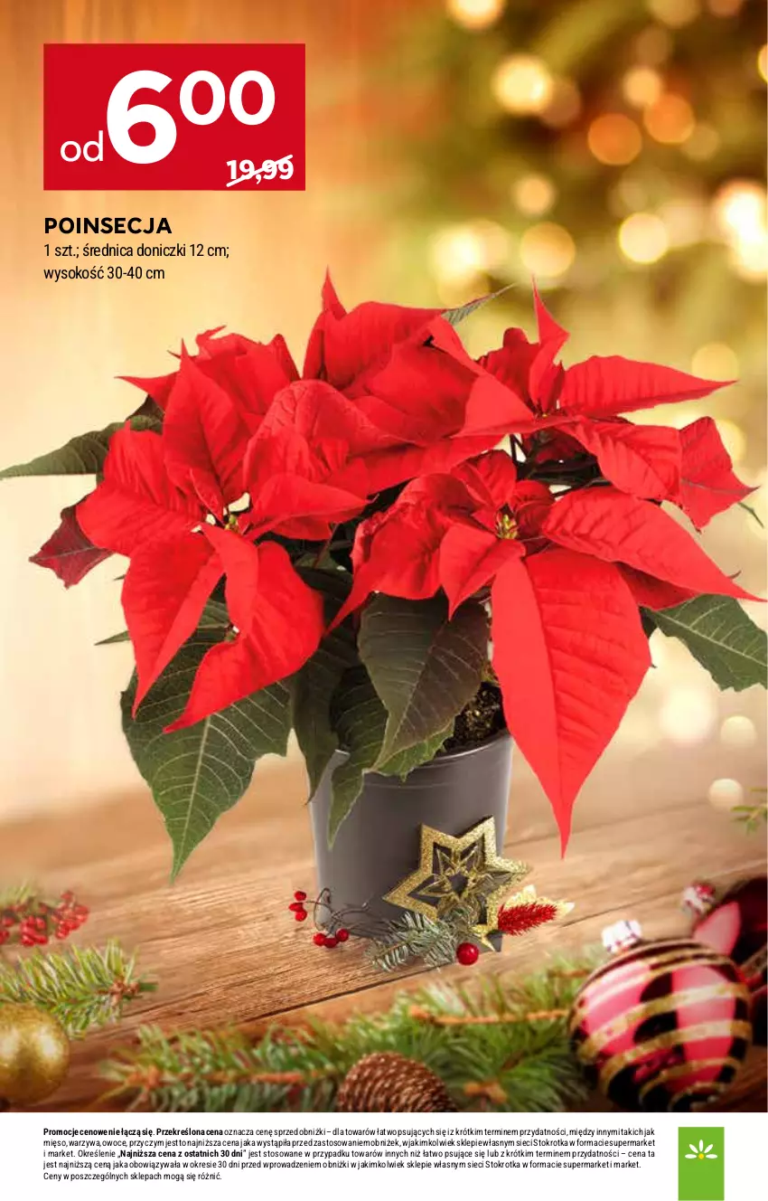 Gazetka promocyjna Stokrotka - Supermarket - ważna 18.12 do 21.12.2025 - strona 49 - produkty: Mięso, Owoce, Poinsecja, Sok, Warzywa