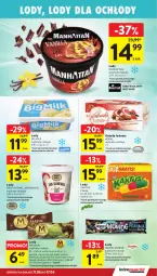 Gazetka promocyjna Intermarche - Gazetka Intermarche - Gazetka - ważna od 17.06 do 17.06.2026 - strona 29 - produkty: Top, Kaktus, Big Milk, Lion, Lody, Rolada, Hortex