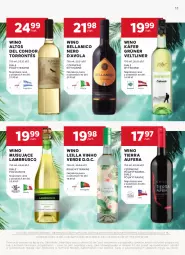 Gazetka promocyjna Stokrotka - W dobrym smaku! - Gazetka - ważna od 10.09 do 10.09.2025 - strona 11 - produkty: Por, Mus, Bell, Wino musujące, Optima, Bella, Wino