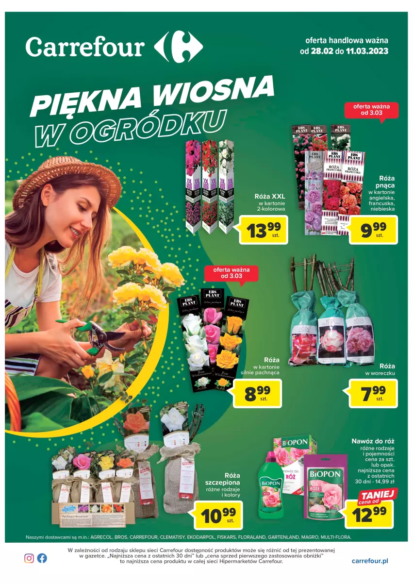 Gazetka promocyjna Carrefour - Gazetka Wiosna w ogródku - ważna 28.02 do 11.03.2023 - strona 1 - produkty: Fiskars, Flora, Nawóz, Róża