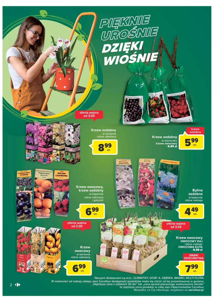 Gazetka promocyjna Carrefour - Gazetka Wiosna w ogródku - ważna 28.02 do 11.03.2023 - strona 4 - produkty: Dzieci, Flora