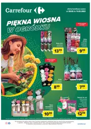 Gazetka promocyjna Carrefour - Gazetka Wiosna w ogródku - Gazetka - ważna od 11.03 do 11.03.2023 - strona 1 - produkty: Róża, Fiskars, Flora, Nawóz