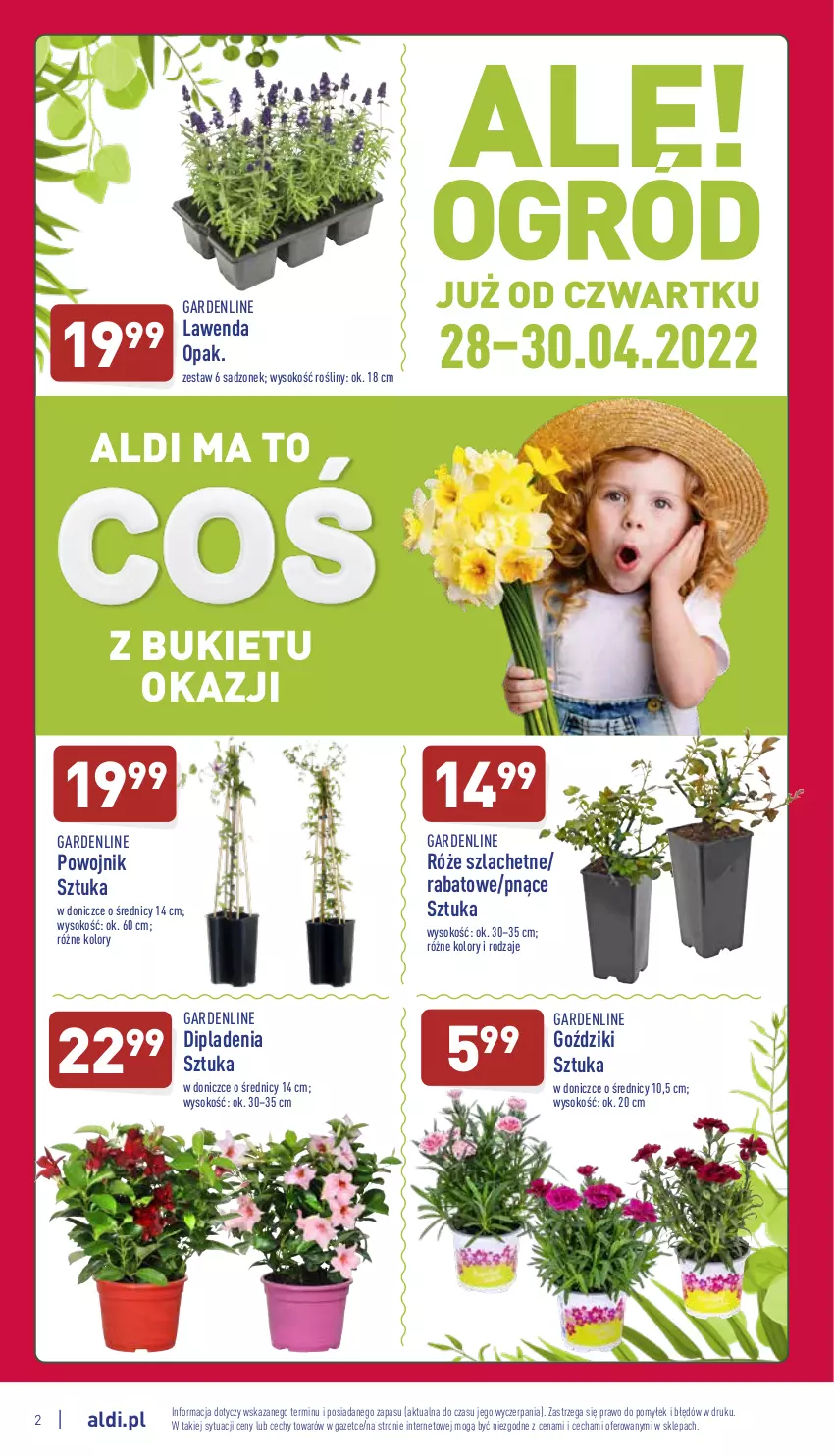 Gazetka promocyjna Aldi - Katalog Moda i Dom - ważna 28.04 do 30.04.2022 - strona 2 - produkty: Bukiet, Sok