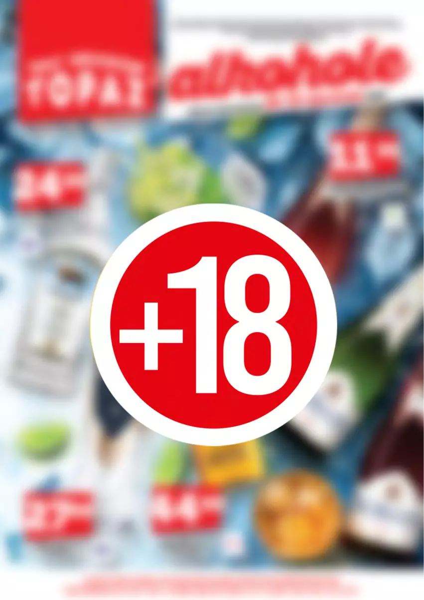 Gazetka promocyjna Topaz - Gazetka - ważna 16.01 do 31.01.2026 - strona 1