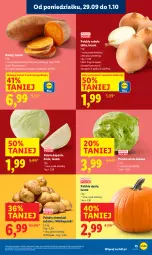 Gazetka promocyjna Lidl - GAZETKA - Gazetka - ważna od 01.10 do 01.10.2025 - strona 19 - produkty: Sałata lodowa, Ziemniaki, Sałat