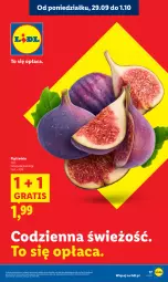 Gazetka promocyjna Lidl - GAZETKA - Gazetka - ważna od 01.10 do 01.10.2025 - strona 21 - produkty: Gra, Figi