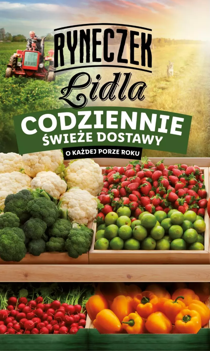 Gazetka promocyjna Lidl - GAZETKA - ważna 17.04 do 19.04.2023 - strona 11 - produkty: Por