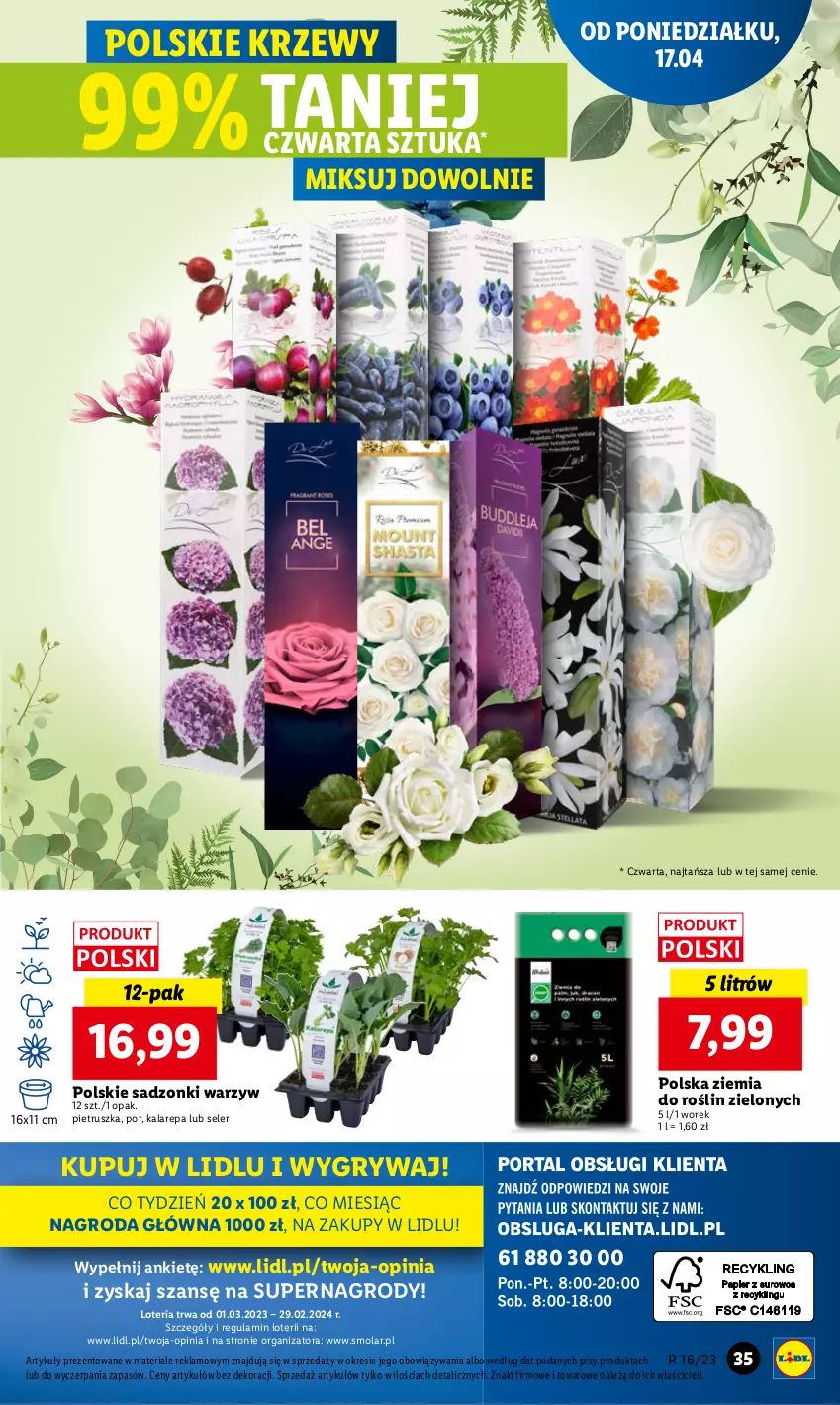 Gazetka promocyjna Lidl - GAZETKA - ważna 17.04 do 19.04.2023 - strona 43 - produkty: Gry, Mola, Pietruszka, Por