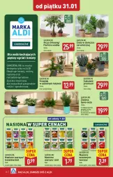 Gazetka promocyjna Aldi - Pełna oferta - Gazetka - ważna od 01.02 do 01.02.2025 - strona 28 - produkty: Sok, Koc, Gin, Zioła w doniczce, Ogród, Sukulent