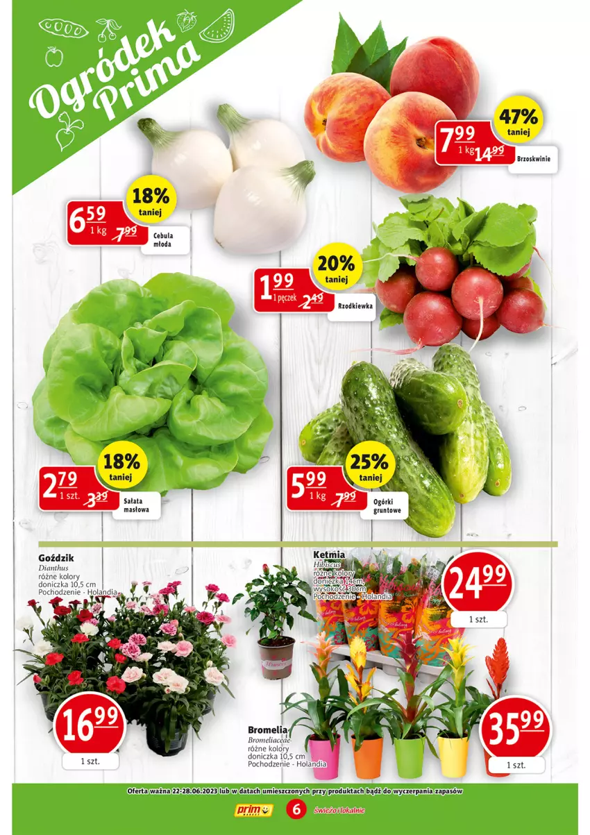 Gazetka promocyjna Prim Market - ważna 22.06 do 28.06.2023 - strona 6 - produkty: Bromelia, Brzoskwinie, Masło, Sałat, Sałata masłowa, Sok