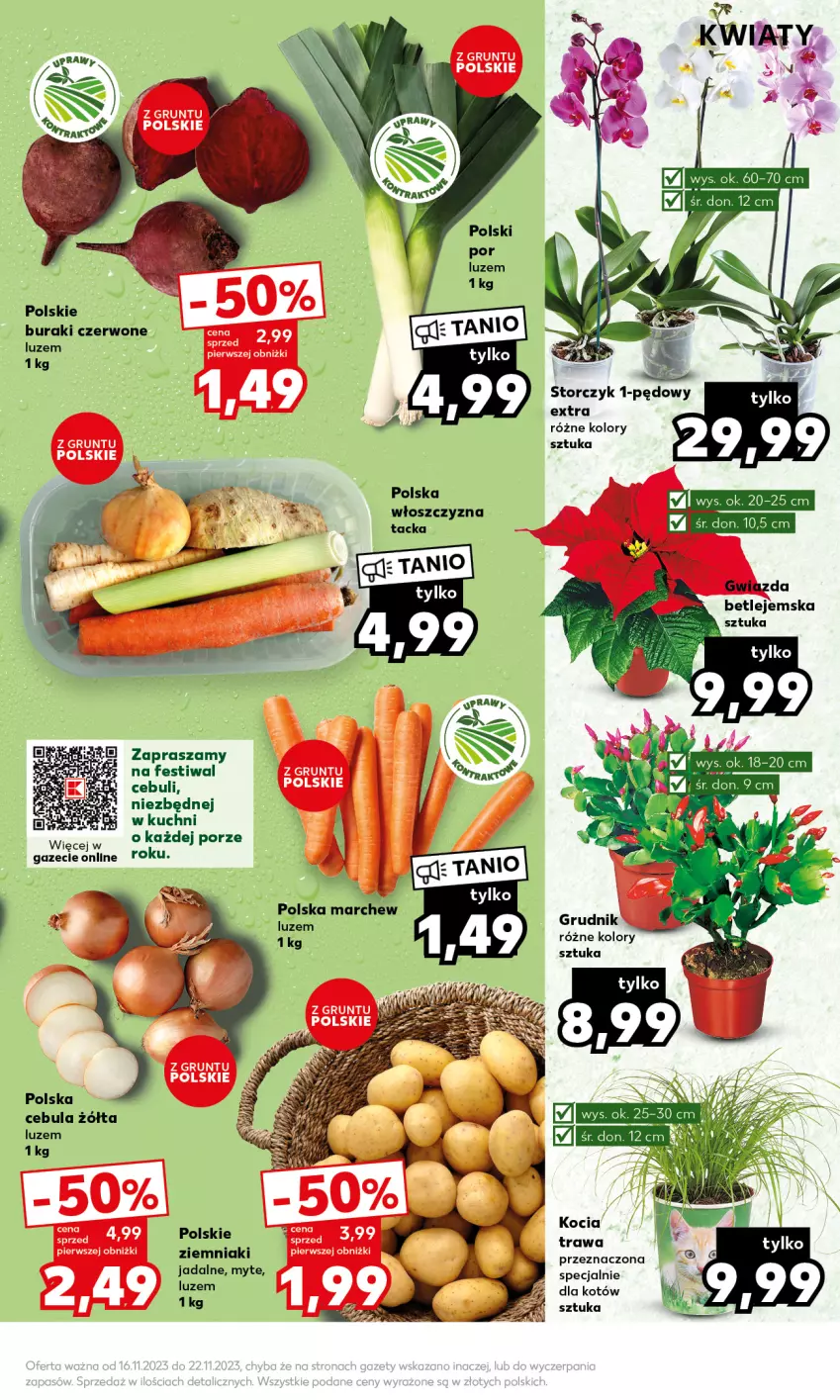 Gazetka promocyjna Kaufland - Mocny Start - ważna 20.11 do 22.11.2023 - strona 19 - produkty: Buraki, Cebula, Koc, Por, Storczyk