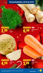 Gazetka promocyjna Lidl - GAZETKA - Gazetka - ważna od 23.12 do 23.12.2025 - strona 25 - produkty: Pietruszka