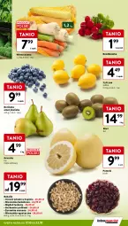 Gazetka promocyjna Intermarche - Gazetka Intermarche - Gazetka - ważna od 23.10 do 23.10.2024 - strona 9 - produkty: Borówka, Borówka amerykańska, Kiwi, Siatka, Pomelo, Mieszanka bakaliowa, Rzodkiewka