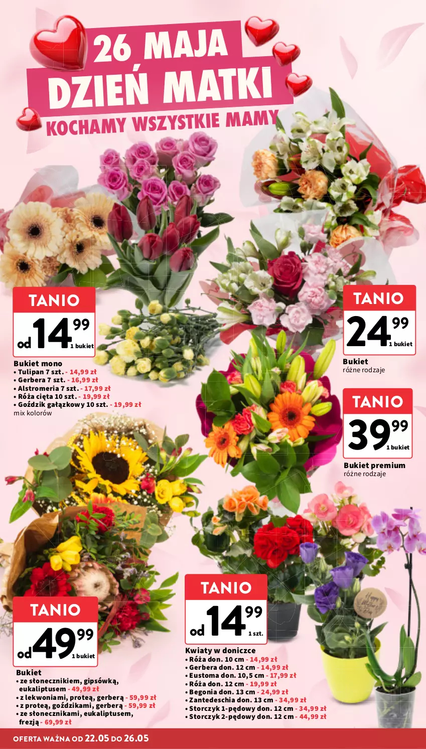Gazetka promocyjna Intermarche - Gazetka Intermarche - ważna 22.05 do 28.05.2025 - strona 10 - produkty: Bukiet, Chia, Gerber, Koc, Róża, Storczyk, Tulipan