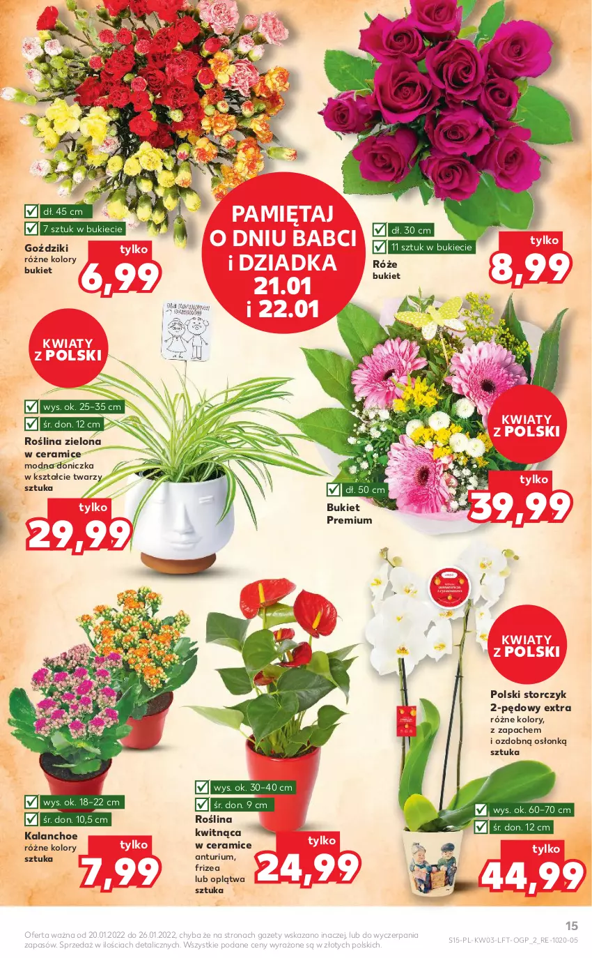 Gazetka promocyjna Kaufland - OFERTA TYGODNIA - ważna 20.01 do 26.01.2022 - strona 15 - produkty: Bukiet, Kalanchoe, Mięta, Storczyk