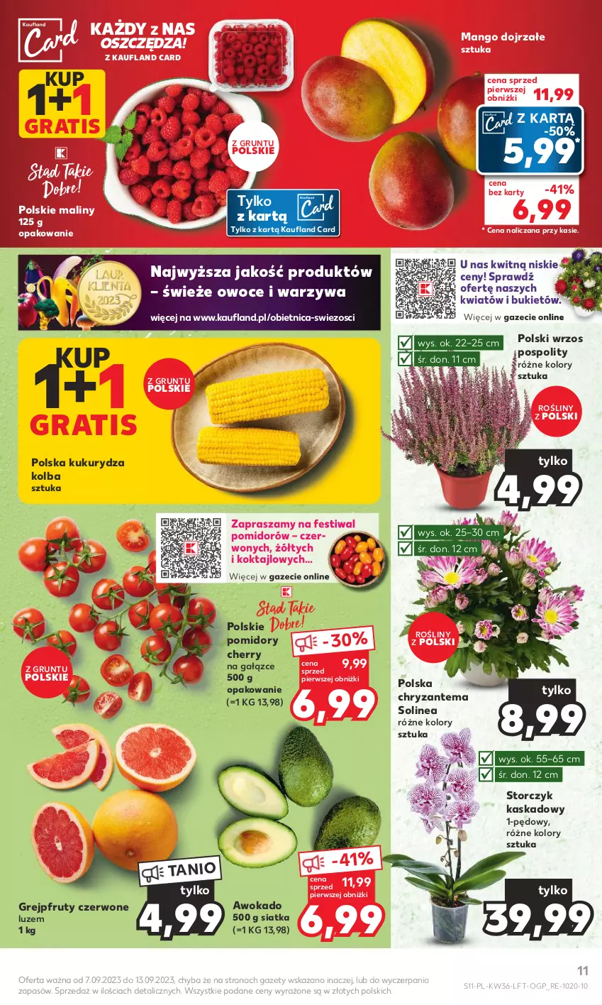 Gazetka promocyjna Kaufland - Gazetka tygodnia - ważna 07.09 do 13.09.2023 - strona 11 - produkty: Bukiet, Chryzantema, Gra, Grejpfrut, Grunt, Kask, Kukurydza, Maliny, Mango, Owoce, Pomidory, Siatka, Storczyk, Warzywa