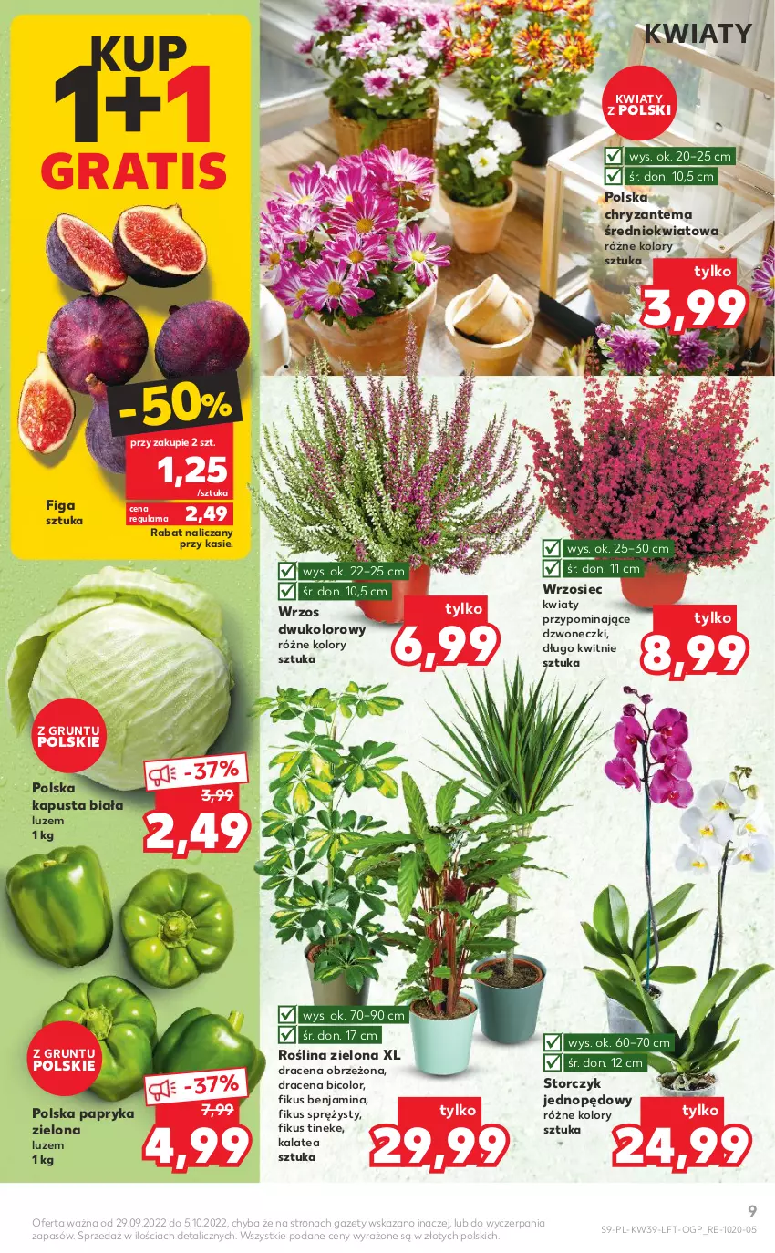 Gazetka promocyjna Kaufland - OFERTA TYGODNIA - ważna 29.09 do 05.10.2022 - strona 9 - produkty: BIC, Chryzantema, Gra, Grunt, Papryka, Storczyk