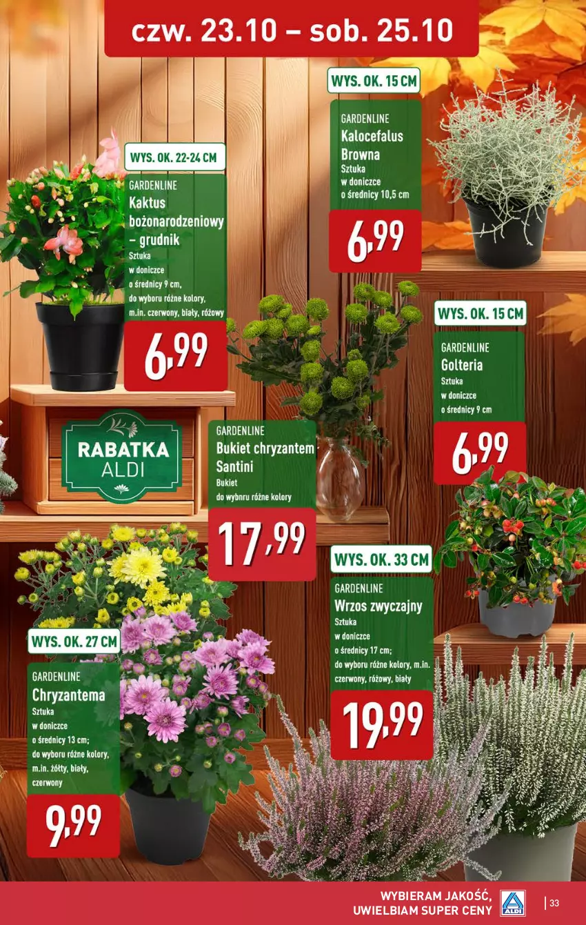 Gazetka promocyjna Aldi - Pełna oferta - ważna 20.10 do 25.10.2025 - strona 33