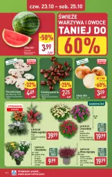 Gazetka promocyjna Aldi - Pełna oferta - Gazetka - ważna od 25.10 do 25.10.2025 - strona 34 - produkty: Piec, Cebula, Warzywa, Sok, Chryzantema, Warzywa i owoce, Ozdoba, Pieczarki krojone, Owoce, Arbuz