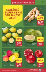 Gazetka promocyjna Aldi - Pełna oferta - Gazetka - ważna od 25.10 do 25.10.2025 - strona 5 - produkty: Gra, Kaktus, Granat, Cytryny, Grejpfrut, Imbir