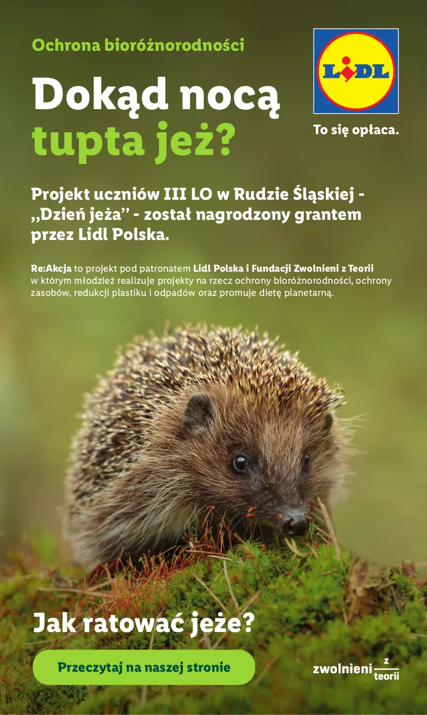 Gazetka promocyjna Lidl - Gazetka ważna od 8.06 do 10.06 - ważna 08.06 do 10.06.2026 - strona 88 - produkty: Gra