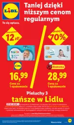 Gazetka promocyjna Lidl - Gazetka ważna od 8.06 do 10.06 - Gazetka - ważna od 10.06 do 10.06.2026 - strona 17 - produkty: Por, Gra, Rama, Pieluchy, Dada, Dron