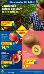 Gazetka promocyjna Lidl - Gazetka ważna od 8.06 do 10.06 - Gazetka - ważna od 10.06 do 10.06.2026 - strona 38 - produkty: Gra, Granat, Kiwi, Brzoskwinie, Pomidory