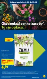 Gazetka promocyjna Lidl - Gazetka ważna od 8.06 do 10.06 - Gazetka - ważna od 10.06 do 10.06.2026 - strona 83 - produkty: Wazon