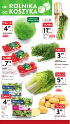 Gazetka promocyjna Intermarche - Gazetka Intermarche - Gazetka - ważna od 15.05 do 15.05.2024 - strona 12 - produkty: Sałata lodowa, Sałat, Natka pietruszki, Grill, Fa