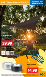 Gazetka promocyjna Lidl - GAZETKA - Gazetka - ważna od 04.08 do 04.08.2025 - strona 11 - produkty: Ivar