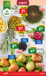 Gazetka promocyjna PoloMarket - Gazetka pomocyjna - Gazetka - ważna od 12.09 do 12.09.2023 - strona 10 - produkty: Jeżyny, Ananas, Maliny, Ogród