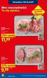 Gazetka promocyjna Lidl - Gazetka ważna od 9.07 do 11.07 - Gazetka - ważna od 11.07 do 11.07.2026 - strona 10 - produkty: Karkówka wieprzowa, Schab wieprzowy