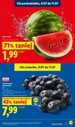 Gazetka promocyjna Lidl - Gazetka ważna od 9.07 do 11.07 - Gazetka - ważna od 11.07 do 11.07.2026 - strona 13 - produkty: Arbuz